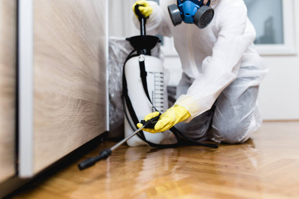 Best Best Pest Control Companies  in Rock Rapids, IA