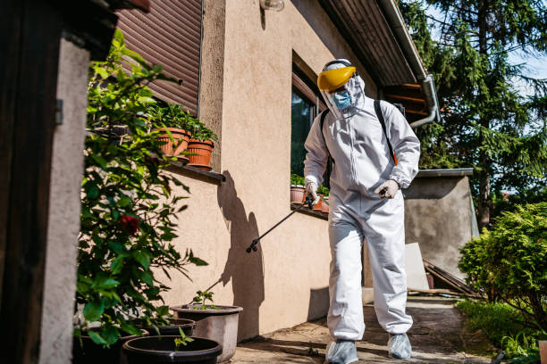 Best Cockroach Control Services  in Rock Rapids, IA