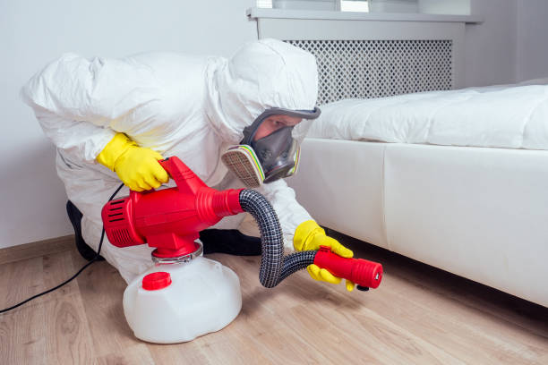 Best Emergency Pest Control  in Rock Rapids, IA