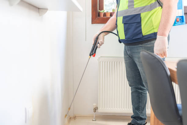 Best Ant Control Services  in Rock Rapids, IA