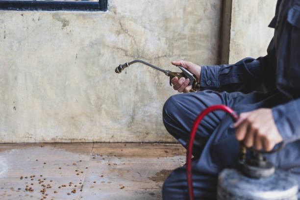 Best Pest Control Near Me in Rock Rapids, IA