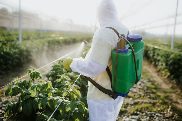 Professional Pest Control in Rock Rapids, IA